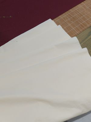 Lightweight Garment Fabric 90GSM 75% Nylon 25% Cotton For Clothing Manufacturers