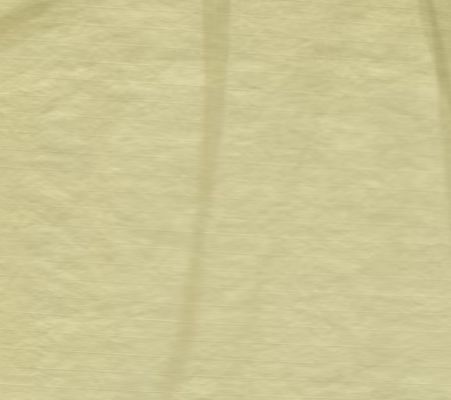 Casual Lightweight Nylon Fabric 172GSM Outdoor Wear Fabric Wrinkle Resistant