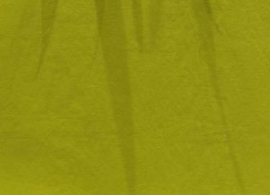 Thin And Breathable 100% Nylon Fabric 169GSM Nylon Dress Fabric