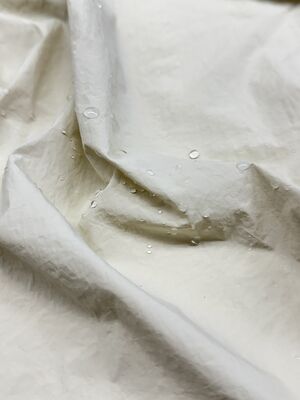 100% Nylon 68g/m ² 150CM Autumn And Winter New Product Wind And Rain Resistant Bone Like Fabric