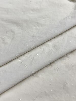100% Nylon 68g/m ² 150CM Autumn And Winter New Product Wind And Rain Resistant Bone Like Fabric